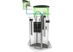 Зорде Рейн 12